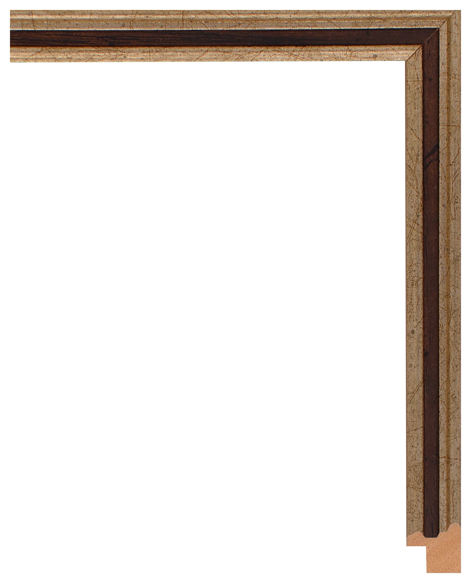 Frame Galia 602