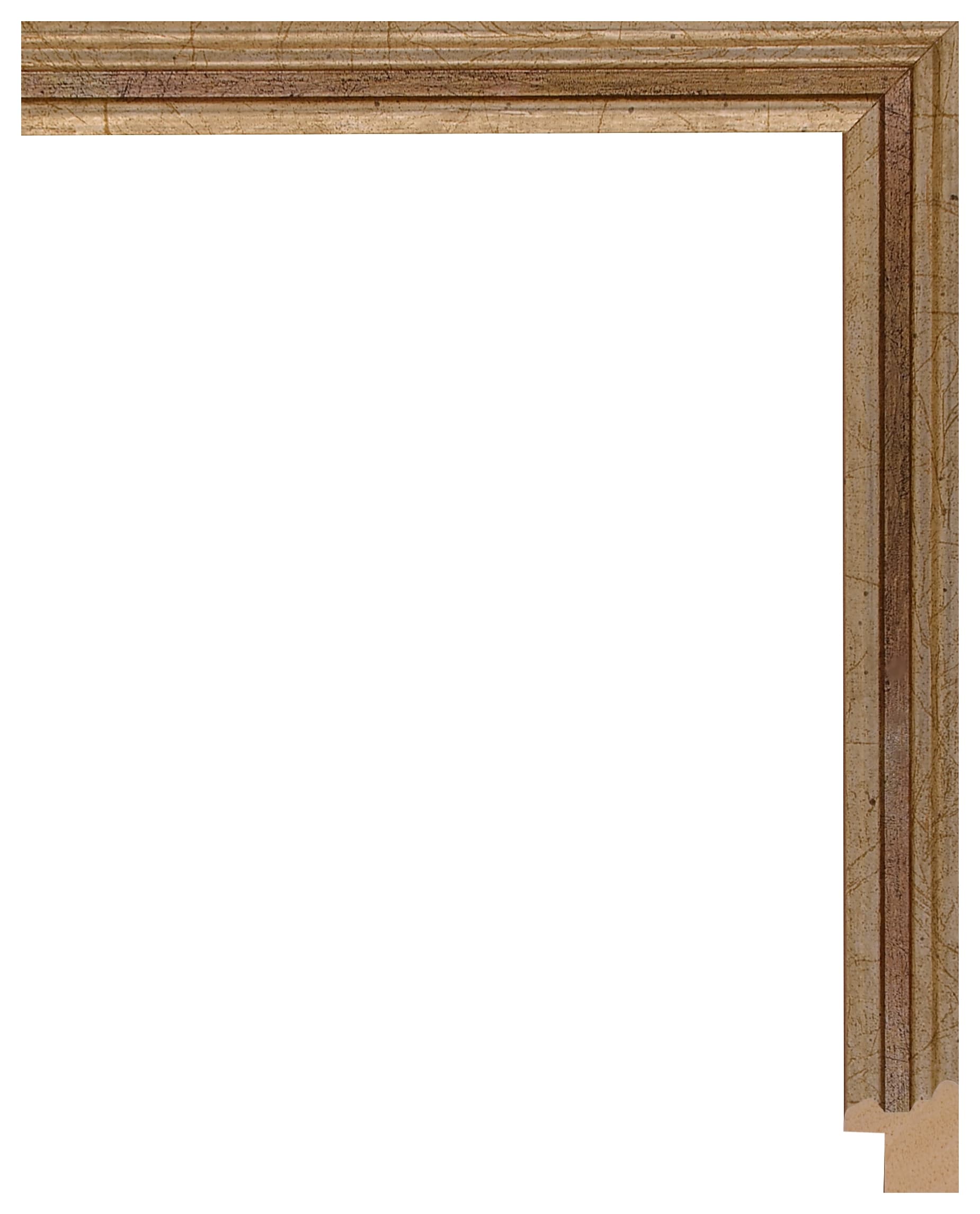 Frame Galia 603