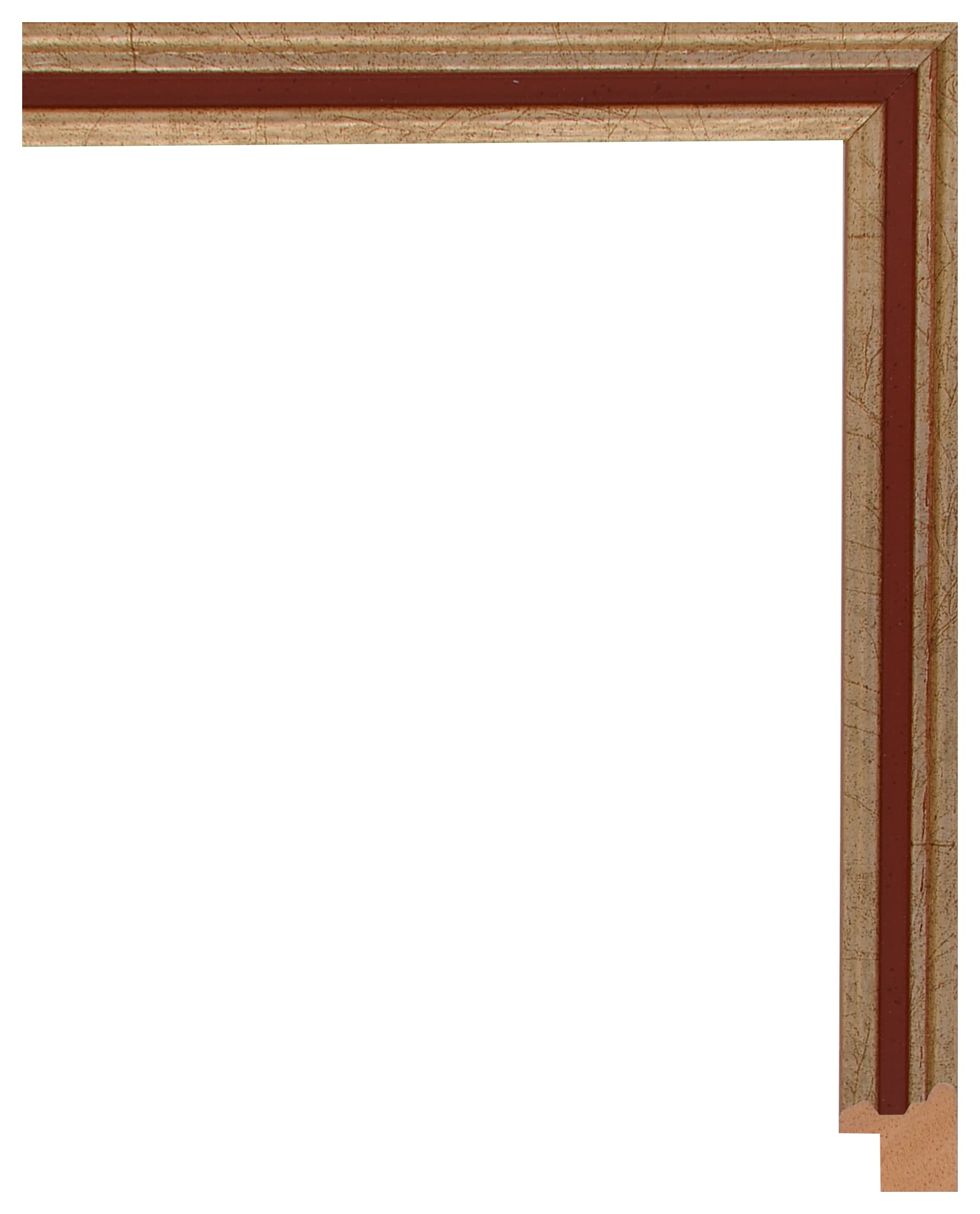 Frame Galia 606