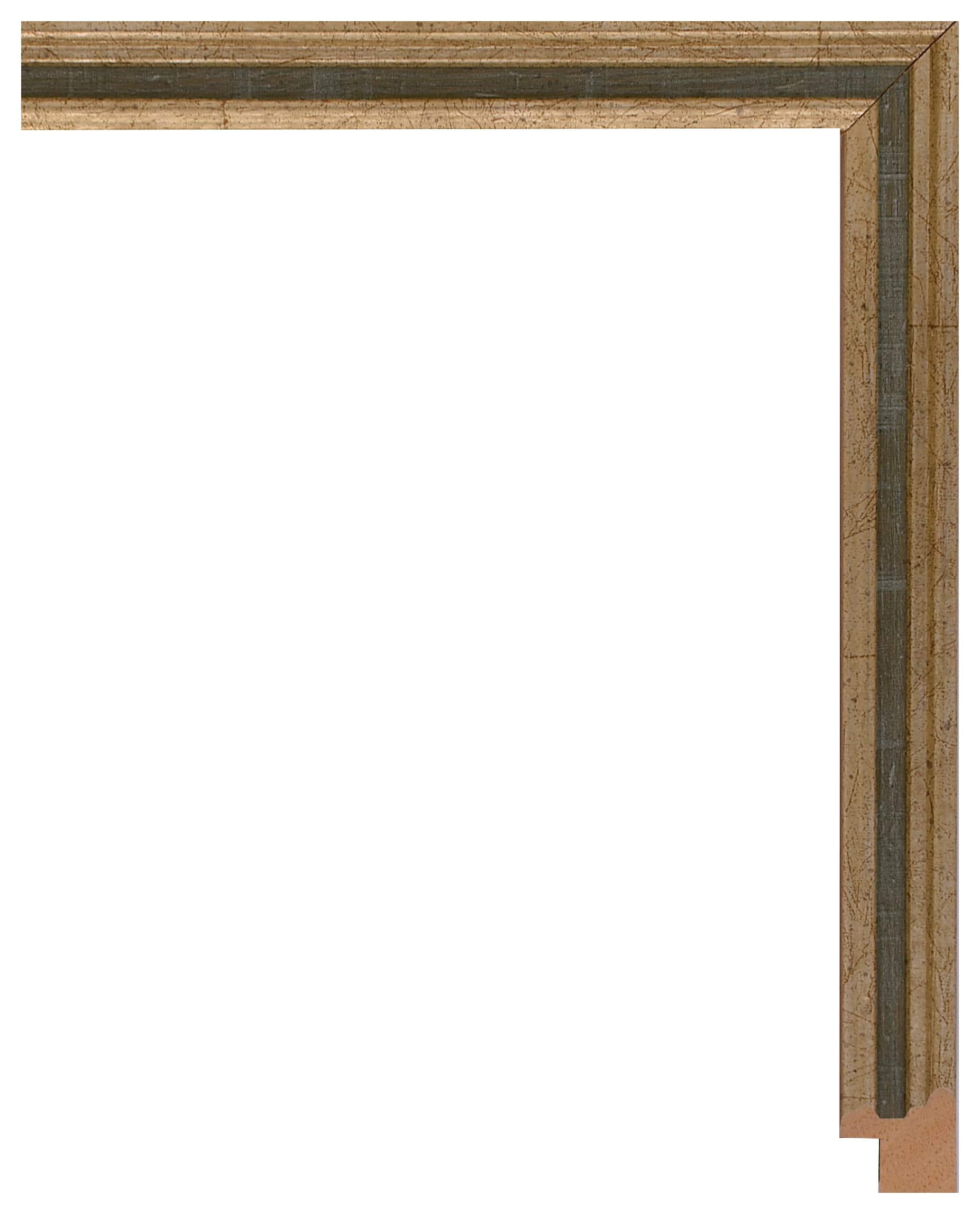 Frame Galia 607
