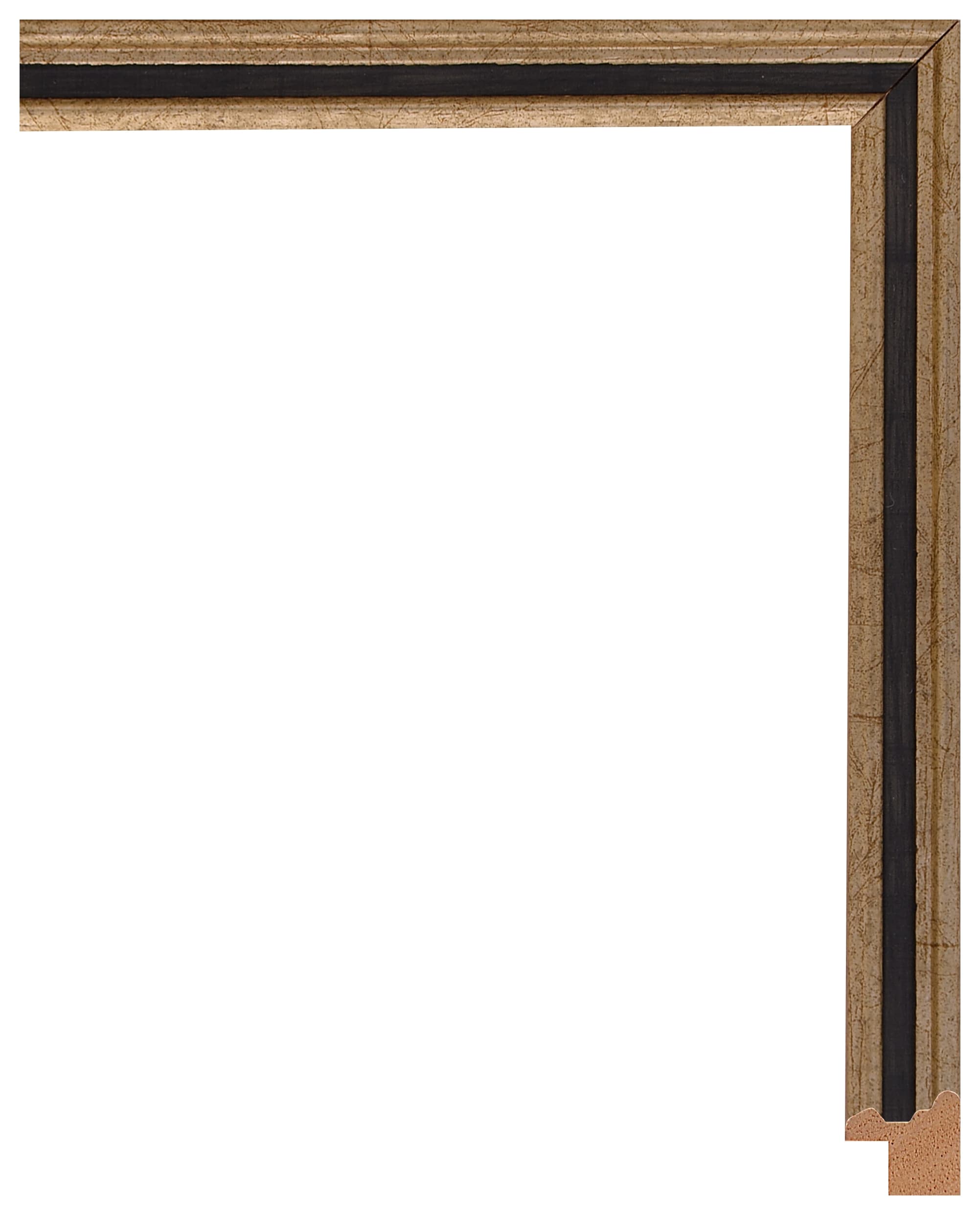 Frame Galia 608