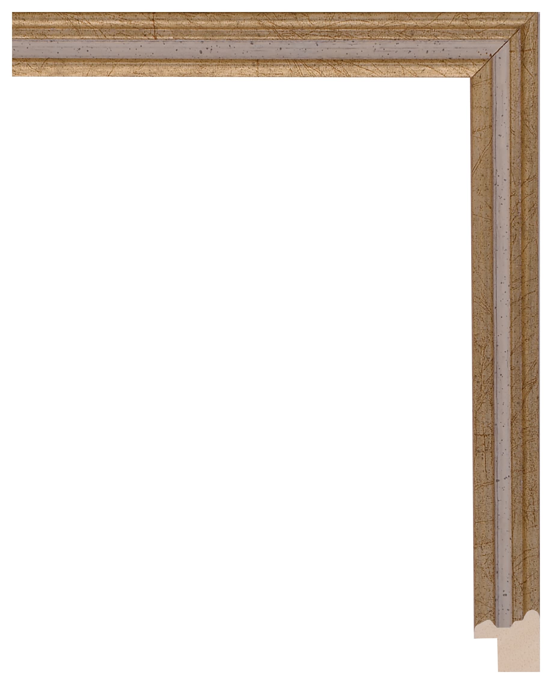 Frame Galia 609