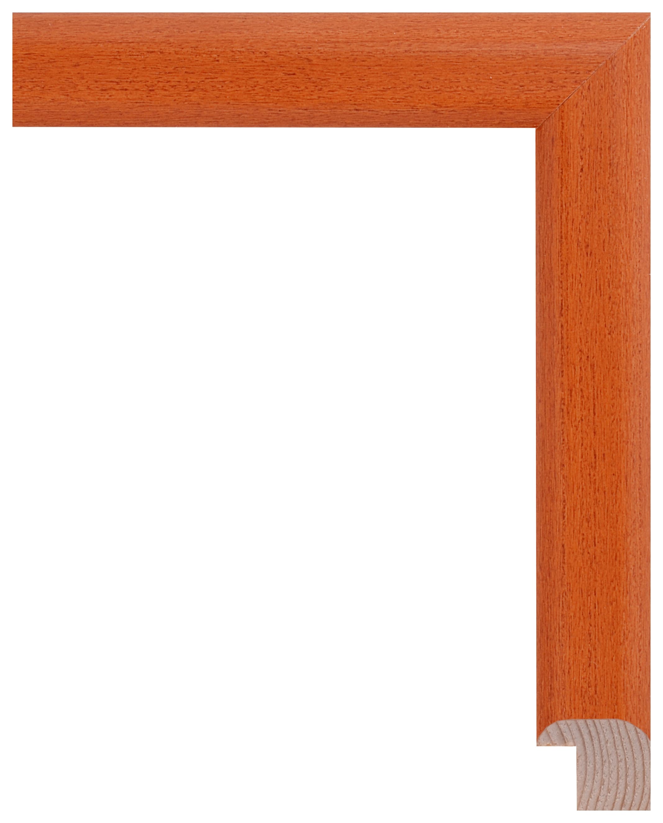 Frame Aquarelle 433