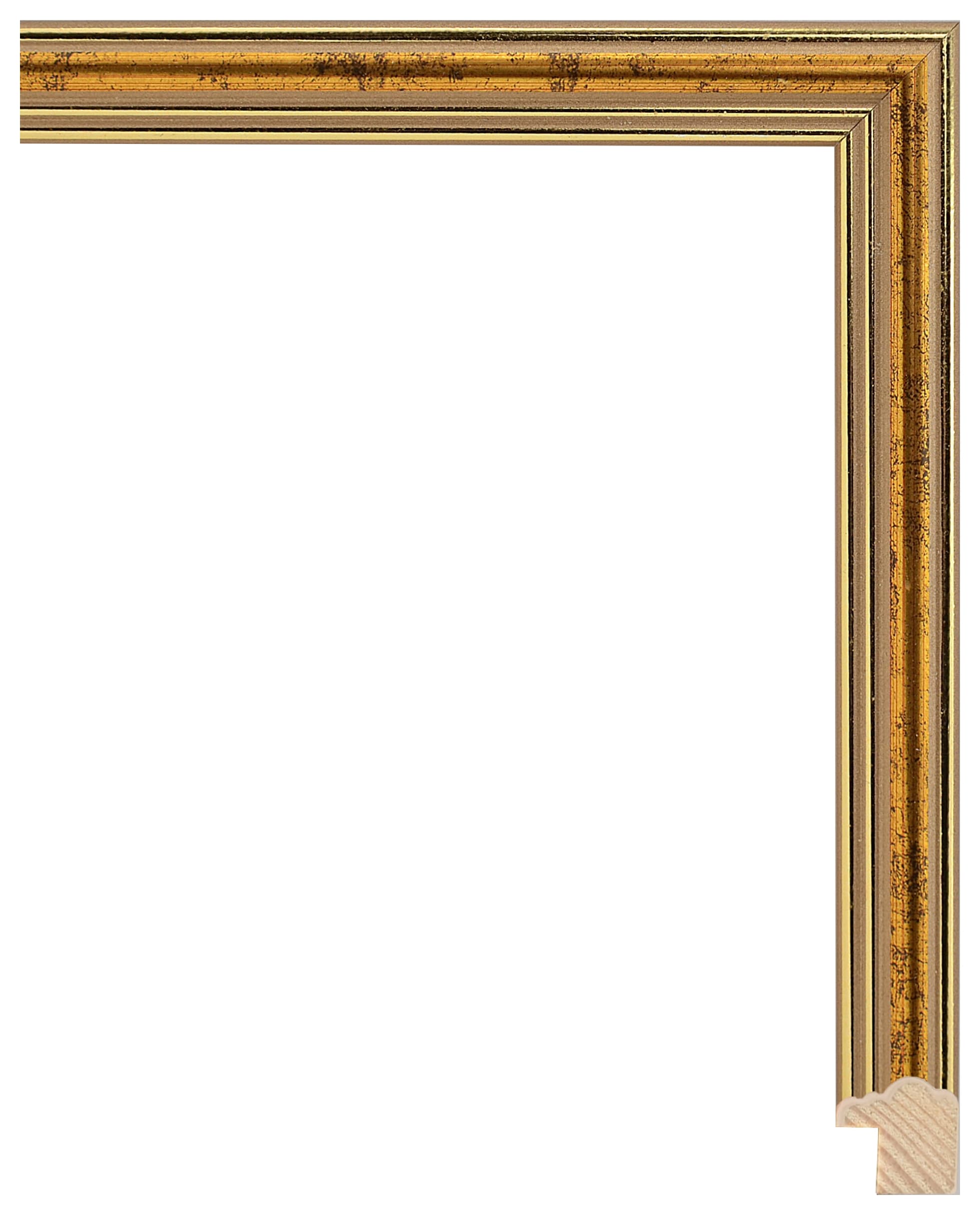 Frame Artyg 102